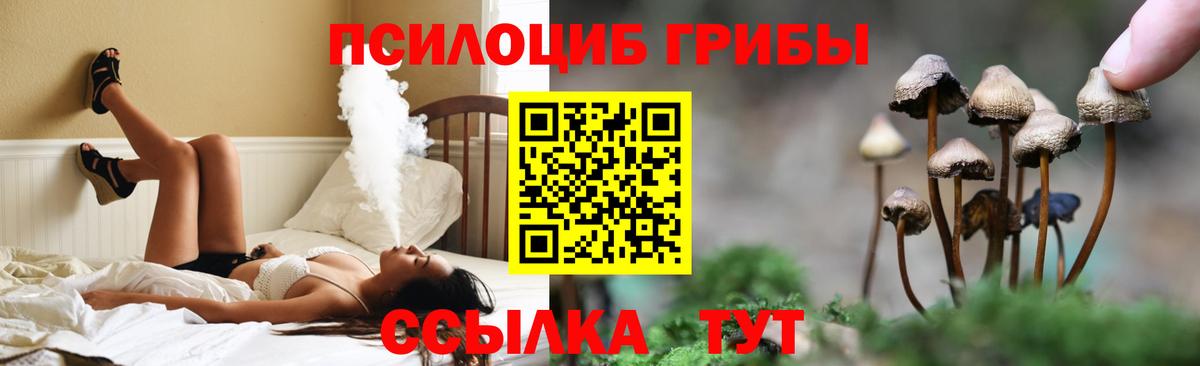 Галлюциногенные грибы мухоморы  Вход с VPN  закладка  Конаково  Псилоцибиновые грибы Psilocybe 